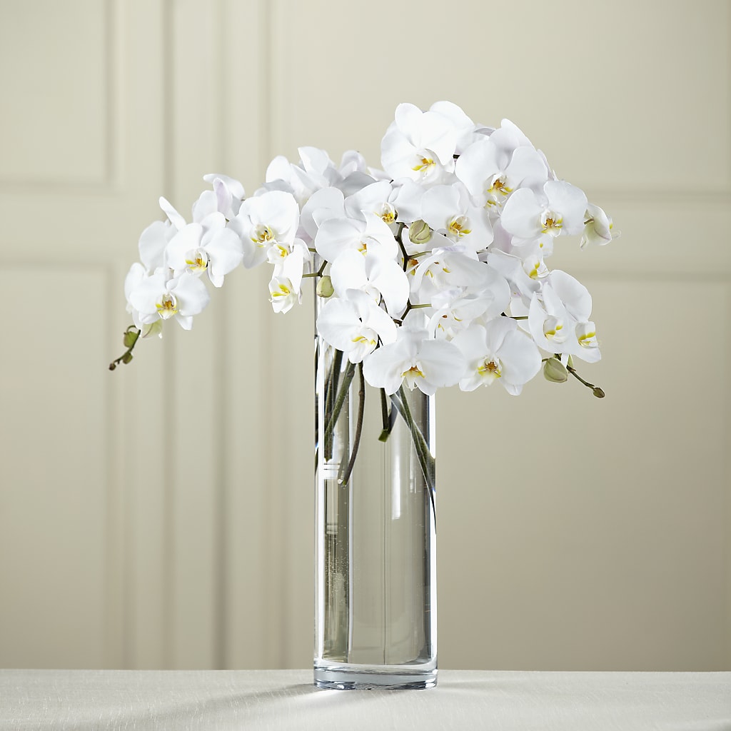 White Phalaenopsis Bouquet – Village Flower Shop, Kelowna BC